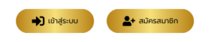 PGOPTION